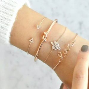 4 Piece Love Cactus Bangle Bracelet Set